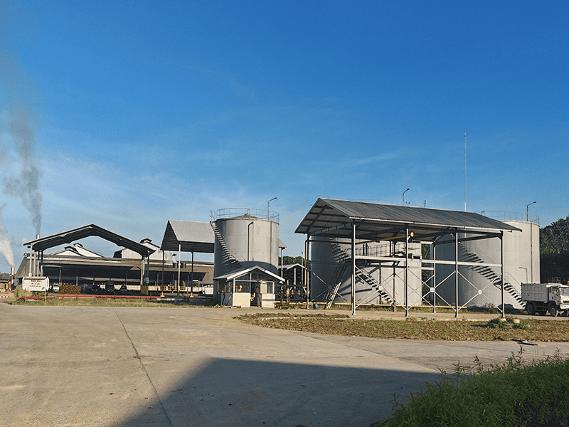 50TPH Palm Oil Mill in Nigeria