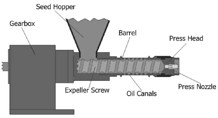 Structural Principles and Key Purchasing Considerations for Palm Kernel Oil Expeller Machines